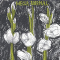 Mecca Normal: Mecca Normal  ( CD )