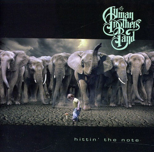 The Allman Brothers Band: Hittin the Note - CD