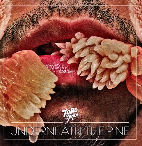 Toro y Moi: Underneath the Pine - Vinyl