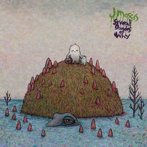 J Mascis: Several Shades of Why - VINYL