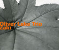Oliver Trio Lake: Zaki - CD