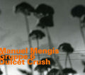 Manuel Mengis: Dulcet Crush - CD