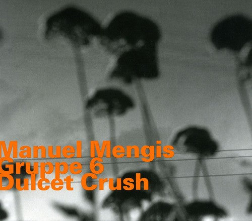 Manuel Mengis: Dulcet Crush - CD