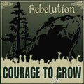 Rebelution: Courage to Grow - VINYL