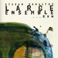 Stefan Schultze Large Ensemble: Run - CD
