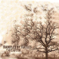 Trampled by Turtles: Duluth - VINYL