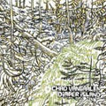 Chad VanGaalen: Diaper Island  ( CD )