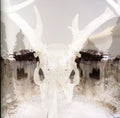 Seidr: For Winter Fire - CD