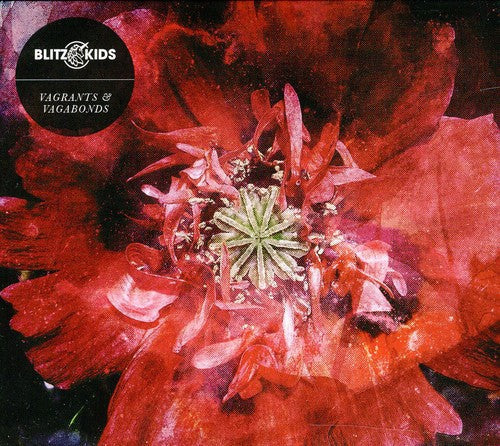Blitz Kids: Vagrants & Vagabonds  ( CD )