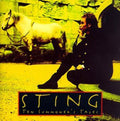 Sting: Ten Summoner's Tales (Jewel Box) - CD