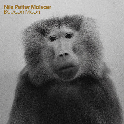 Nils Petter Molvaer: Baboon Moon - CD