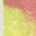 Adrianne Lenker - Live At Revolution Hall - RSD LP
