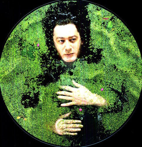 Alain Bashung: Fantaisie Militaire - VINYL