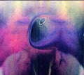 Young Magic: Melt  ( CD )