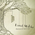 David Mahler: Greenwood  ( CD )