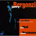 Jerry Bergonzi: Just Within - CD