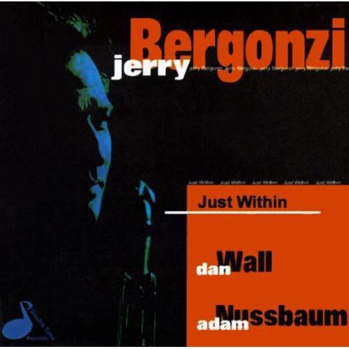 Jerry Bergonzi: Just Within - CD