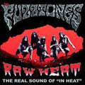 The Fuzztones: Raw Heat the in Heat Demos - VINYL