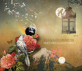 Beck Goldsmith: Hollows for Sorrows  ( CD )
