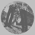 Ty Segall & White Fence: Hair - Vinyl