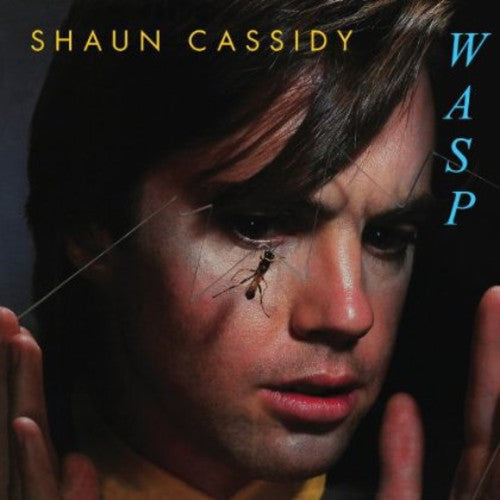 Shaun Cassidy: Wasp - CD