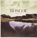 Roscoe: Cracks - Vinyl