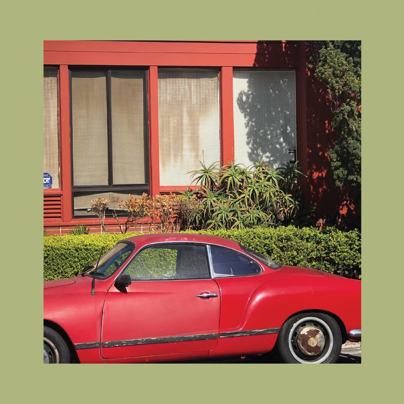 The Reds, Pinks and Purples - The Town That Cursed Your Name ( VINYL )