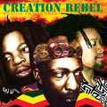 Creation Rebel - Hostile Environment ( VINYL )