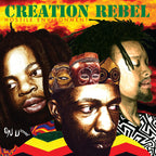 Creation Rebel - Hostile Environment ( VINYL )