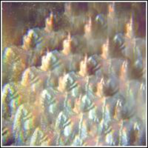 Stealing Sheep: Into the Diamond Sun - Vinyl