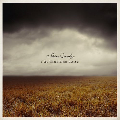Adrian Crowley: I See Three Birds Flying - Vinyl
