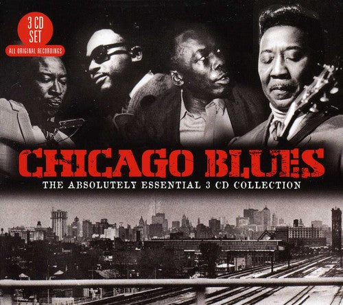 Various Artists: Absolutely Essential Collection / Various  ( CD )