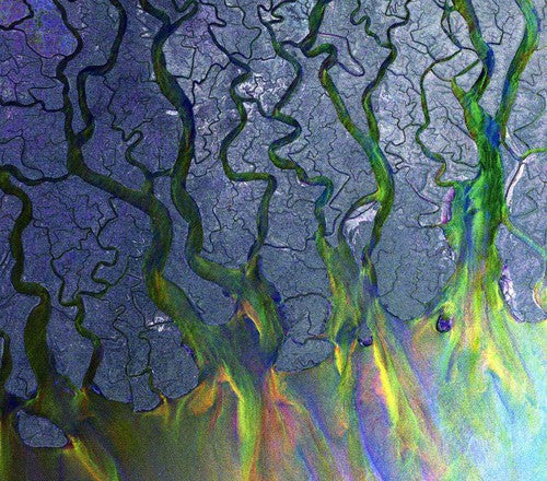 Alt-J: An Awesome Wave  ( CD )