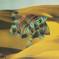 Django Django: Django Django  ( CD )
