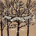 John Paul White: The Long Goodbye  ( CD )