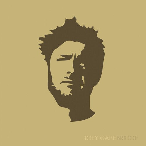 Joey Cape: Bridge  ( CD )