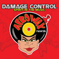 Damage Control: Spirit in the Music  ( CD )