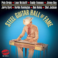 Various Artists: Steel Guitar Hall Of Fame  ( CD )