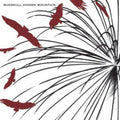 Bugskull: Hidden Mountain  ( CD )