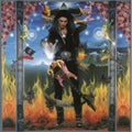 Steve Vai: Passion & Warfare - VINYL