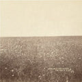 The Milk Carton Kids: Ash & Clay - Vinyl