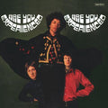 The Jimi Hendrix Experience - Are You Experienced (Mono Edition) - Music On Vinyl LP