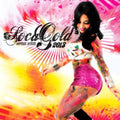 Various Artists: Soca Gold 2013 - CD