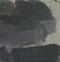 Richard Youngs: Core to the Brave - Vinyl