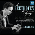 Ludwig van Beethoven: Beethoven Odyssey 1  ( CD )