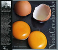 Noah Creshevsky: Four Seasons  ( CD )