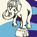 Jeff Mangum: Live at Jittery Joe's - VINYL