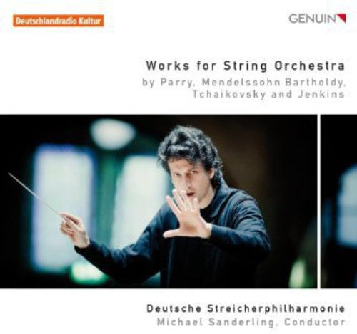 Michael Sanderling: Works for String Orchestra  ( CD )
