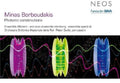 Minas Borboudakis: Photonic Constructions  ( CD )