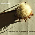 Jerome Kitzke: Character of American Sunlight  ( CD )